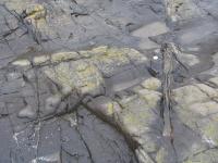 Albums/20060200-New Zealand 2006/20060313-Catlins/28